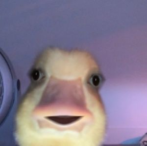 Meet your Posher, Danny